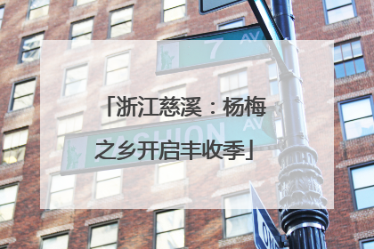 浙江慈溪：杨梅之乡开启丰收季