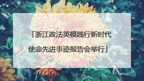 浙江政法英模践行新时代使命先进事迹报告会举行