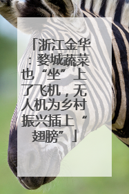 浙江金华：婺城蔬菜也“坐”上了飞机，无人机为乡村振兴插上“翅膀”