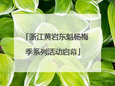 浙江黄岩东魁杨梅季系列活动启幕
