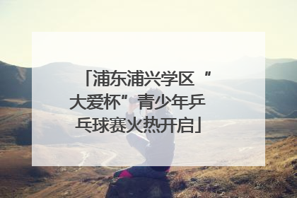 浦东浦兴学区“大爱杯”青少年乒乓球赛火热开启