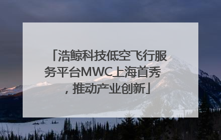 浩鲸科技低空飞行服务平台MWC上海首秀，推动产业创新