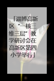 淄博高新区“一核三维三层”教学研讨会在高新区第四小学举行