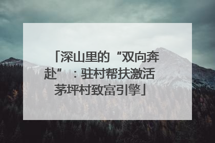 深山里的“双向奔赴”：驻村帮扶激活茅坪村致富引擎