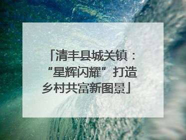 清丰县城关镇：“星辉闪耀”打造乡村共富新图景