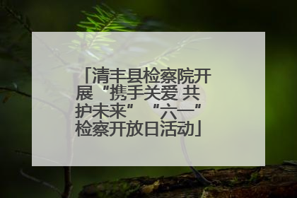 清丰县检察院开展“携手关爱 共护未来”“六一”检察开放日活动