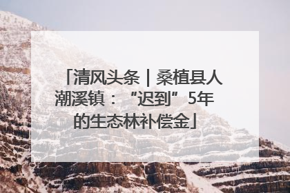 清风头条｜桑植县人潮溪镇：“迟到”5年的生态林补偿金