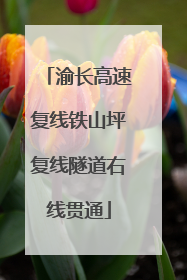 渝长高速复线铁山坪复线隧道右线贯通