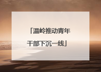 温岭推动青年干部下沉一线
