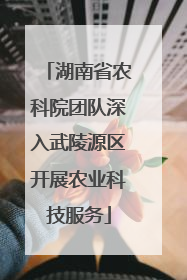 湖南省农科院团队深入武陵源区开展农业科技服务