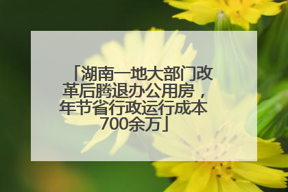 湖南一地大部门改革后腾退办公用房，年节省行政运行成本700余万