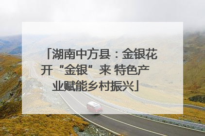 湖南中方县：金银花开“金银”来 特色产业赋能乡村振兴