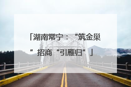 湖南常宁：“筑金巢”招商“引雁归”