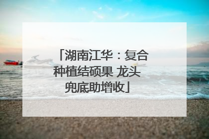 湖南江华：复合种植结硕果 龙头兜底助增收