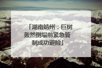 湖南靖州：巨树轰然倒塌前紧急管制成功避险