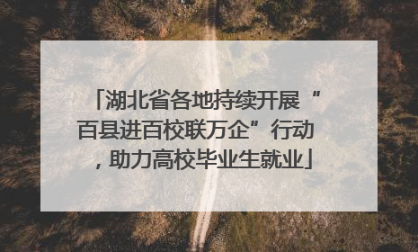 湖北省各地持续开展“百县进百校联万企”行动，助力高校毕业生就业