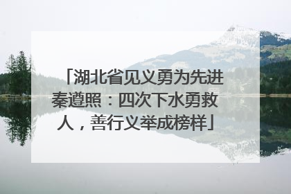 湖北省见义勇为先进秦遵照：四次下水勇救人，善行义举成榜样