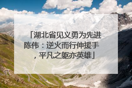 湖北省见义勇为先进陈伟：逆火而行伸援手，平凡之躯亦英雄