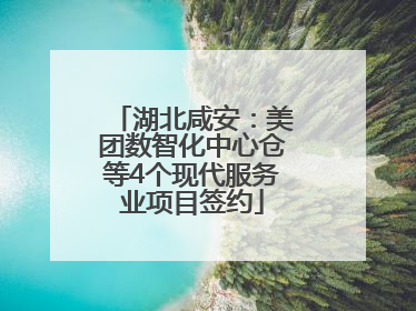 湖北咸安：美团数智化中心仓等4个现代服务业项目签约