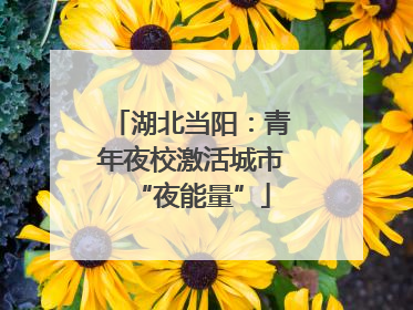 湖北当阳：青年夜校激活城市“夜能量”