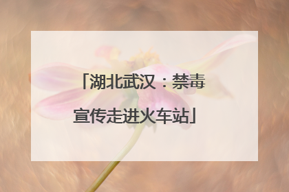湖北武汉：禁毒宣传走进火车站