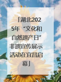 湖北2025年“文化和自然遗产日”非遗宣传展示活动在宜昌启幕