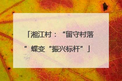 湘江村：“留守村落”蝶变“振兴标杆”
