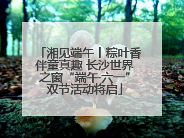 湘见端午丨粽叶香伴童真趣 长沙世界之窗“端午·六一”双节活动将启