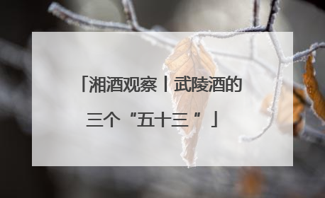 湘酒观察丨武陵酒的三个“五十三 ”