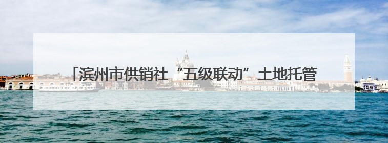滨州市供销社“五级联动”土地托管服务现场推进工作会议在无棣县举办