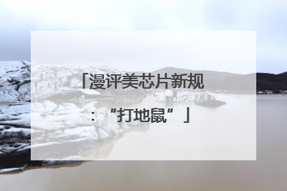 漫评美芯片新规：“打地鼠”
