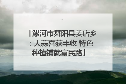 漯河市舞阳县姜店乡：大蒜喜获丰收 特色种植铺就富民路