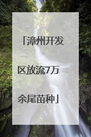 漳州开发区放流7万余尾苗种