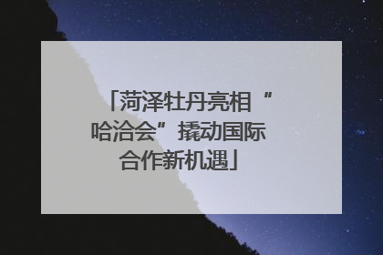 菏泽牡丹亮相“哈洽会”撬动国际合作新机遇