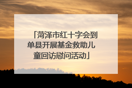 菏泽市红十字会到单县开展基金救助儿童回访慰问活动