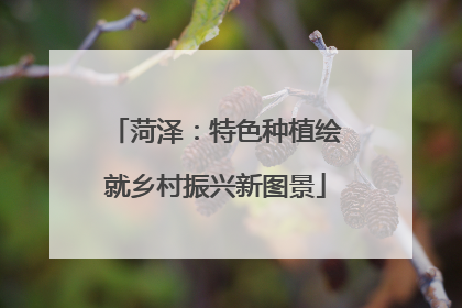 菏泽：特色种植绘就乡村振兴新图景