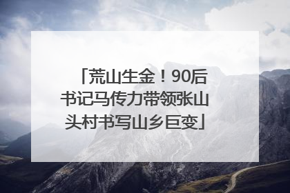 荒山生金！90后书记马传力带领张山头村书写山乡巨变