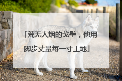 荒无人烟的戈壁，他用脚步丈量每一寸土地