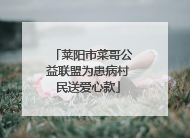 莱阳市菜哥公益联盟为患病村民送爱心款