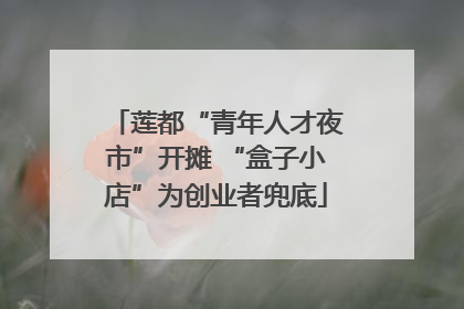 莲都“青年人才夜市”开摊 “盒子小店”为创业者兜底