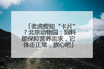 老虎瘦如“卡片”？北京动物园：饲料能保障营养需求，它体重正常，放心吧