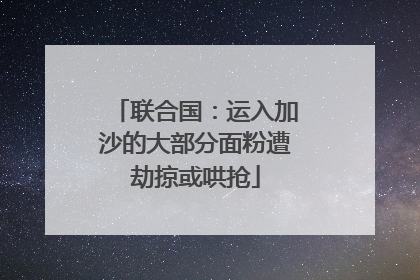 联合国：运入加沙的大部分面粉遭劫掠或哄抢