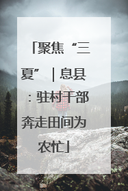 聚焦“三夏”｜息县：驻村干部奔走田间为农忙