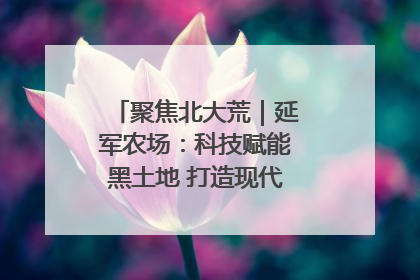 聚焦北大荒｜延军农场：科技赋能黑土地 打造现代农业“智慧芯”