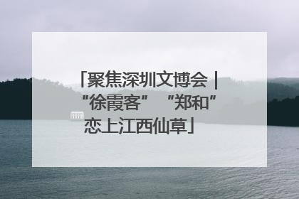 聚焦深圳文博会｜“徐霞客”“郑和”恋上江西仙草