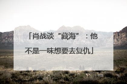 肖战谈“藏海”：他不是一味想要去复仇