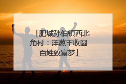 肥城孙伯镇西北角村：洋葱丰收圆百姓致富梦