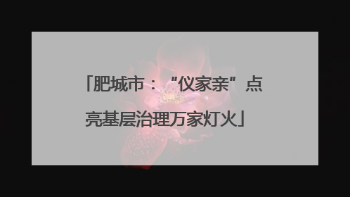 肥城市：“仪家亲”点亮基层治理万家灯火