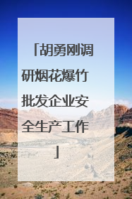 胡勇刚调研烟花爆竹批发企业安全生产工作