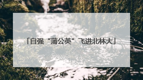 自强“蒲公英”飞进北林大